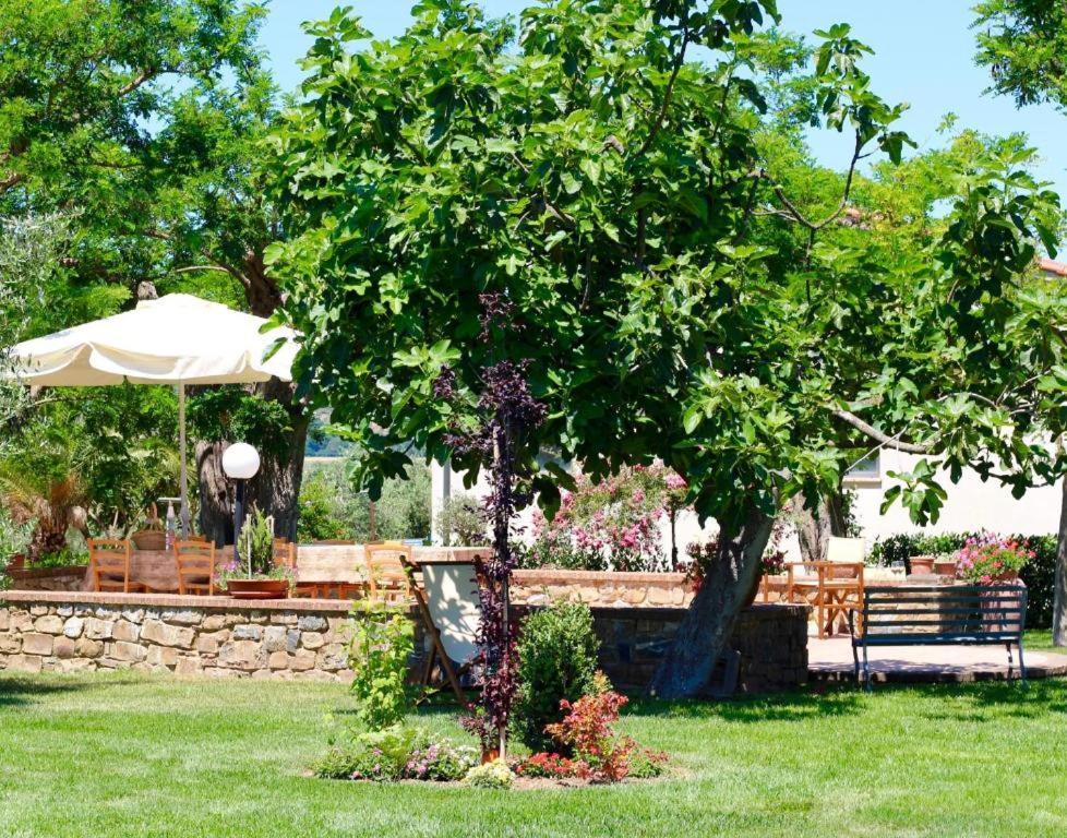 Agriturismo Vecchio Imposto Villa Massa Marittima Bagian luar foto