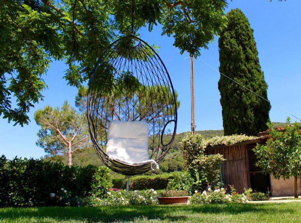 Agriturismo Vecchio Imposto Villa Massa Marittima Bagian luar foto